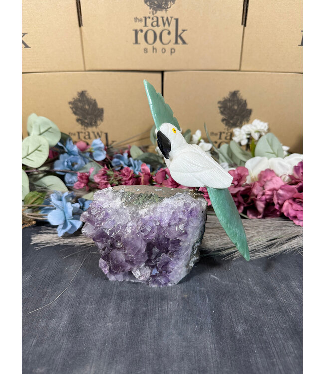 Gemstone Parrot #100, 1132gr