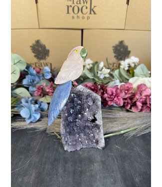 Gemstone Parrot #107, 656gr