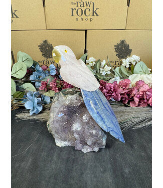 Gemstone Parrot #108, 1112gr