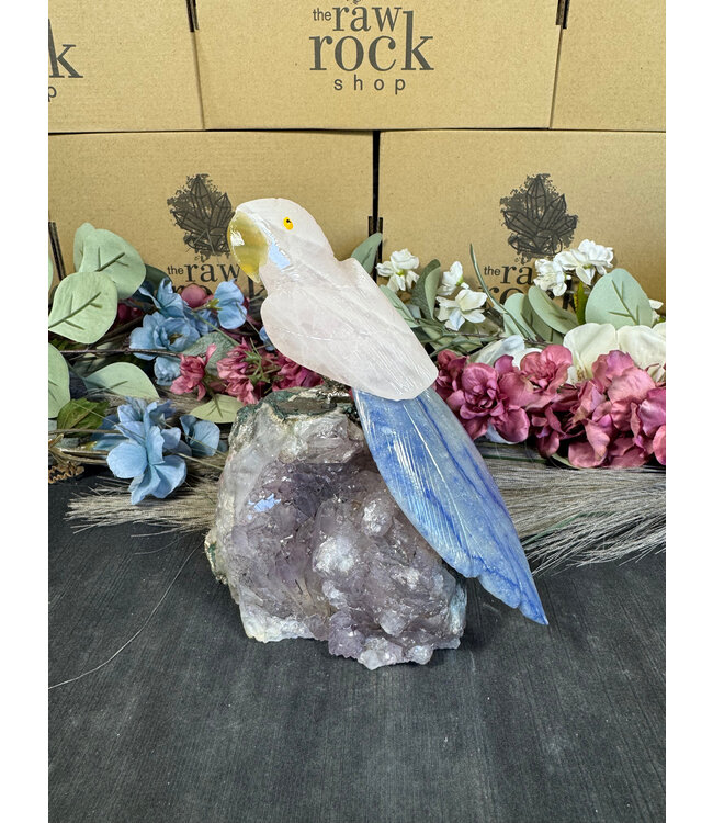 Gemstone Parrot #108, 1112gr