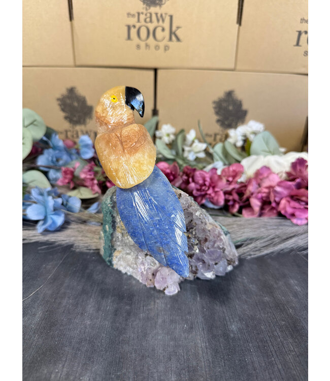 Gemstone Parrot #115, 890gr