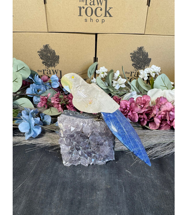 Gemstone Parrot #116, 608gr