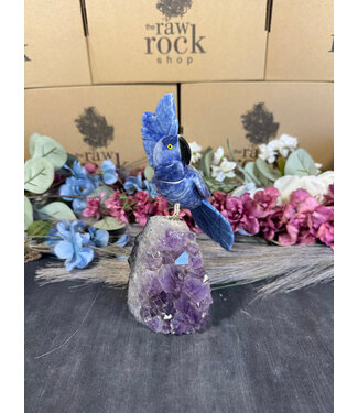 Gemstone Parrot #118, 598gr