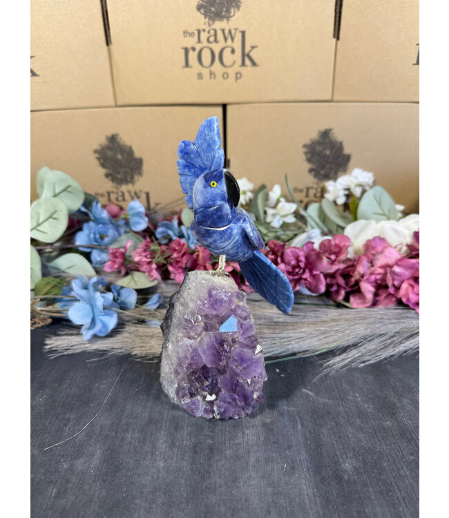 Gemstone Parrot #118, 598gr