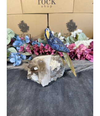 Gemstone Parrot #119, 898gr