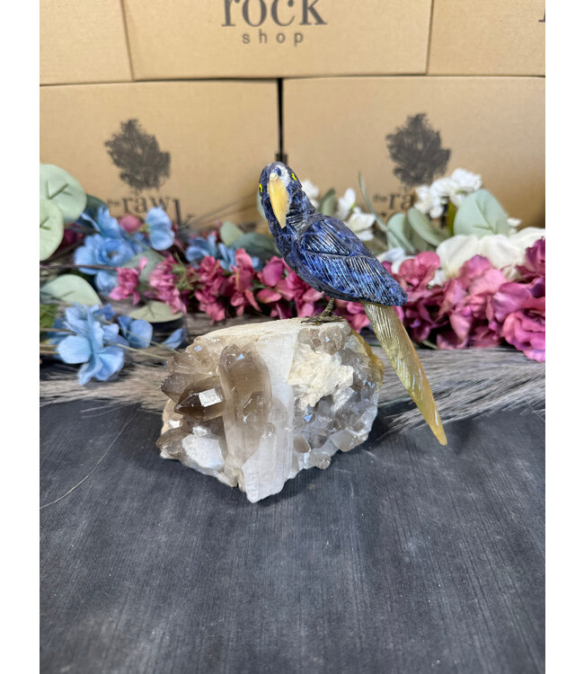 Gemstone Parrot #119, 898gr