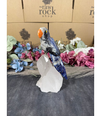 Gemstone Parrot #102, 702gr