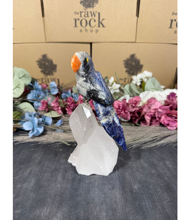 Gemstone Parrot #102, 702gr