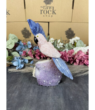 Gemstone Parrot #101, 660gr