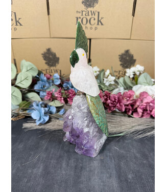 Gemstone Parrot #103, 874gr