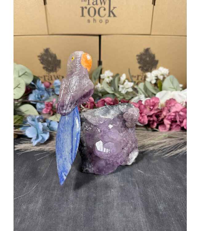 Gemstone Parrot #104, 914gr