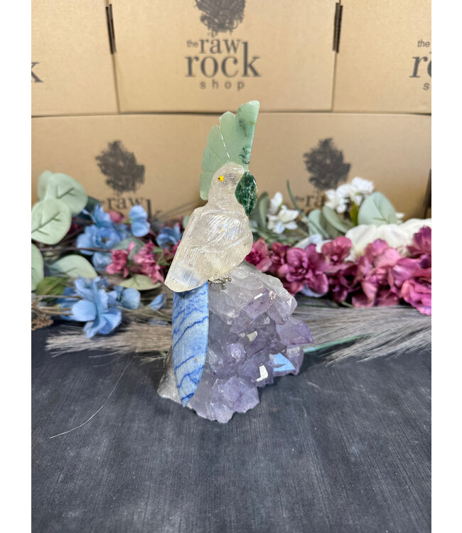 Gemstone Parrot #106, 868gr