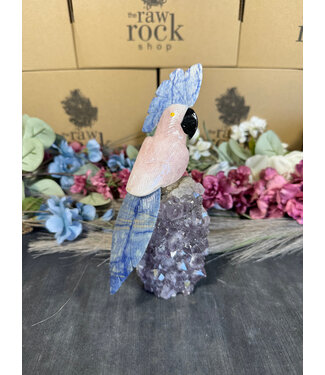 Gemstone Parrot #105, 784gr