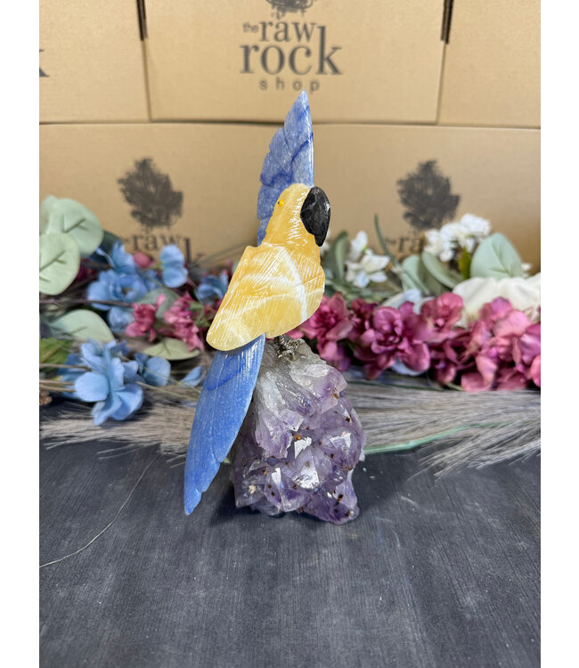 Gemstone Parrot #111, 810gr