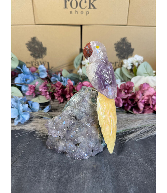 Gemstone Parrot #113, 826gr