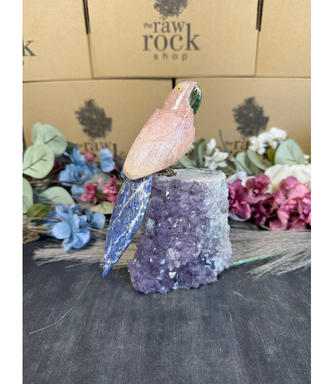 Gemstone Parrot #114, 850gr