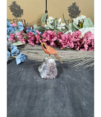 Gemstone Parrot #141, 78gr