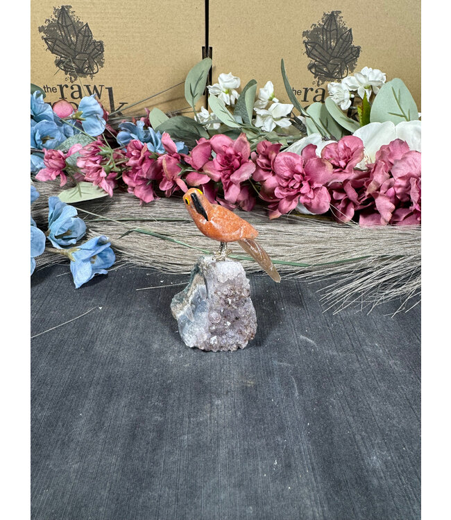 Gemstone Parrot #141, 78gr