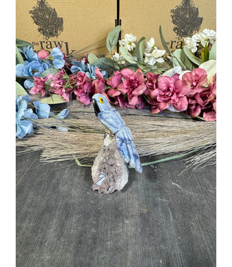 Gemstone Parrot #123, 78gr