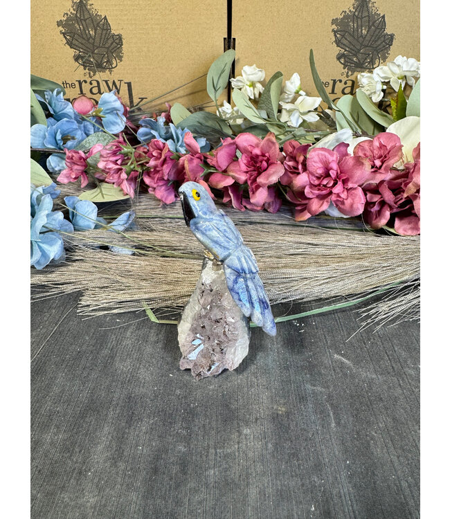 Gemstone Parrot #123, 78gr