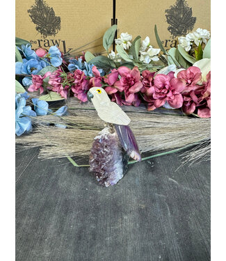 Gemstone Parrot #122, 110gr