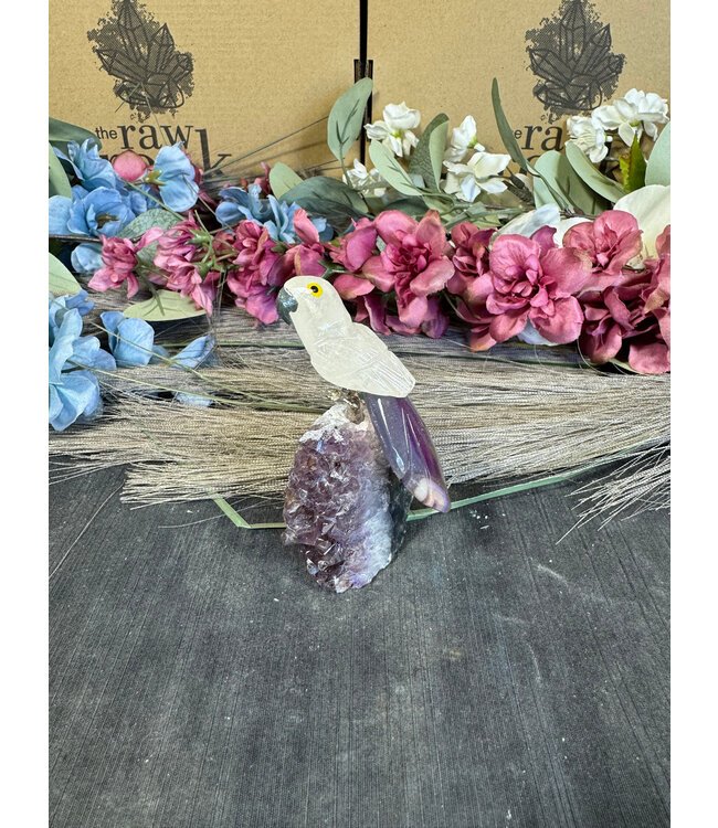 Gemstone Parrot #122, 110gr