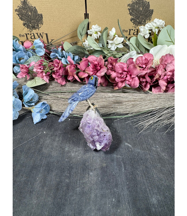 Gemstone Parrot #132, 126gr