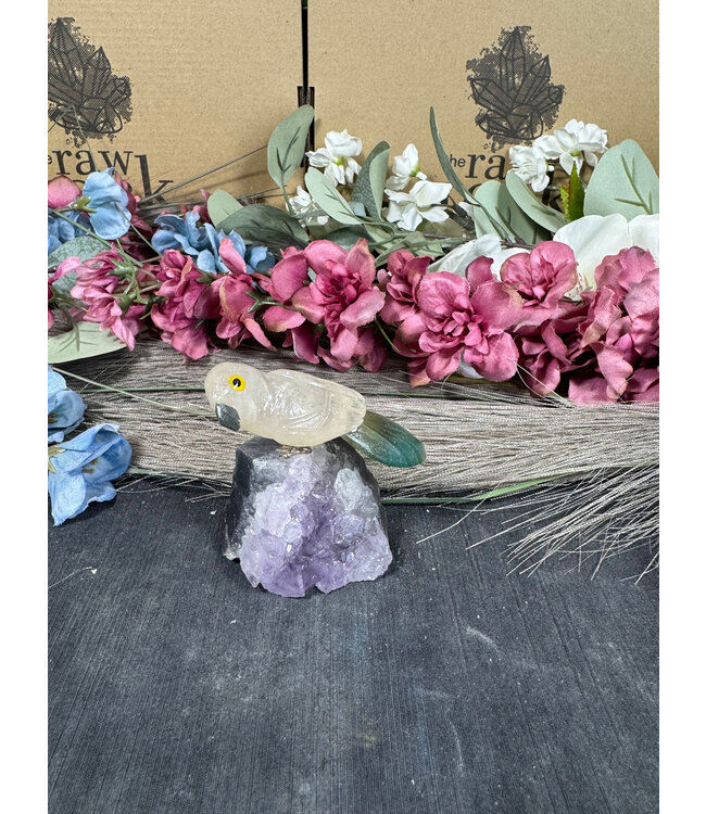 Gemstone Parrot #136, 116gr