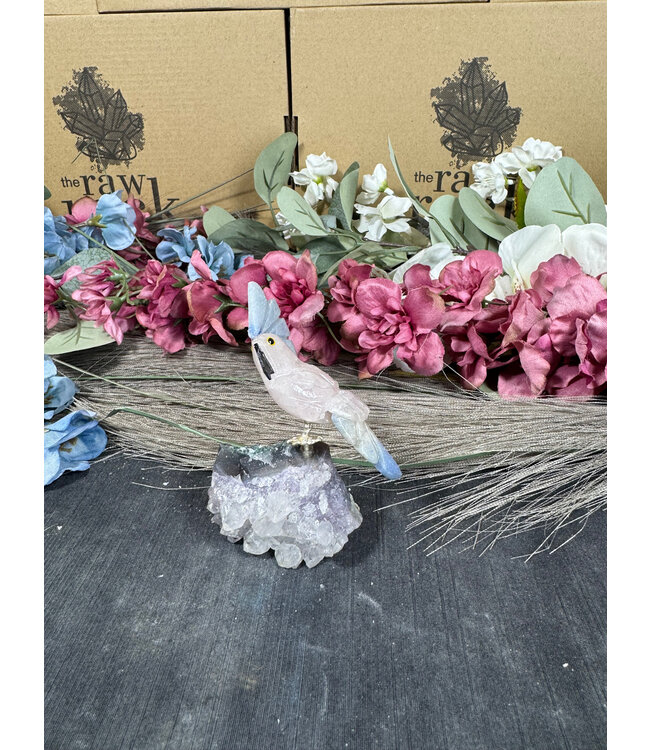 Gemstone Parrot #146, 80gr