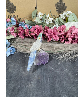 Gemstone Parrot #151, 94gr