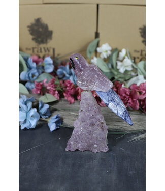 Gemstone Parrot #168, 508gr