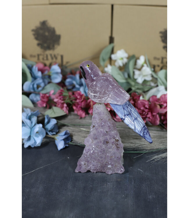 Gemstone Parrot #168, 508gr