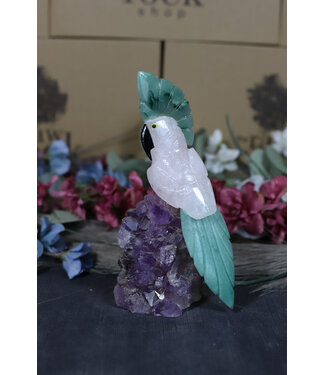 Gemstone Parrot #170, 506gr