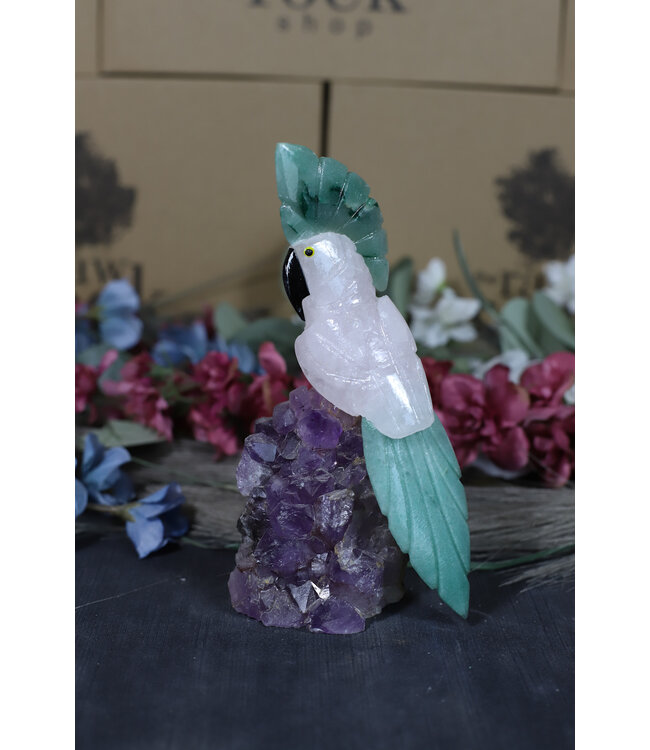 Gemstone Parrot #170, 506gr