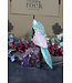 Gemstone Parrot #171, 548gr