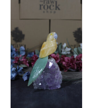 Gemstone Parrot #172, 442gr