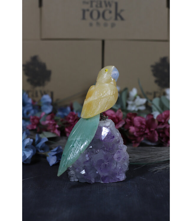 Gemstone Parrot #172, 442gr