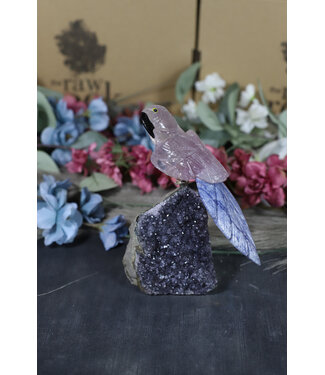 Gemstone Parrot #173, 418gr