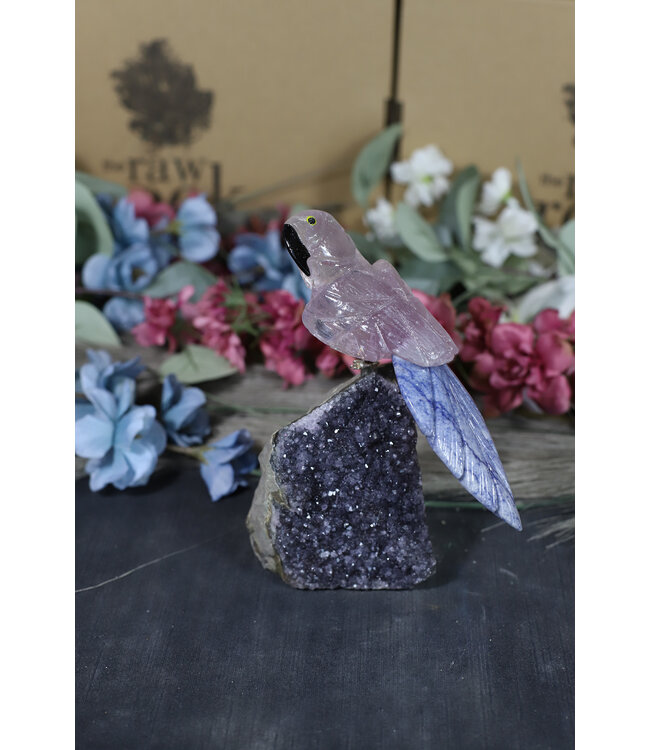 Gemstone Parrot #173, 418gr