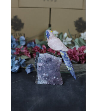 Gemstone Parrot #176, 458gr