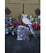Gemstone Parrot #176, 458gr