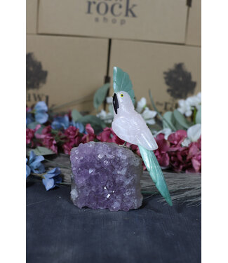 Gemstone Parrot #177, 524gr