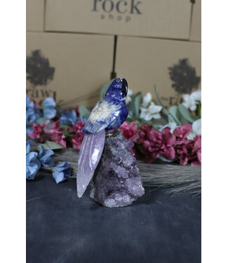 Gemstone Parrot #179, 454gr