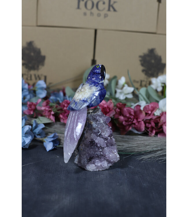 Gemstone Parrot #179, 454gr