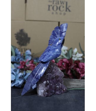 Gemstone Parrot #155, 470gr