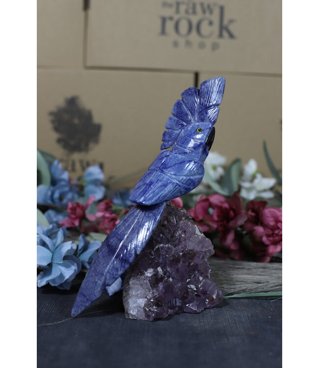 Gemstone Parrot #155, 470gr