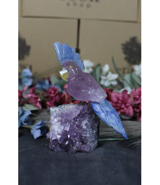 Gemstone Parrot #156, 490gr