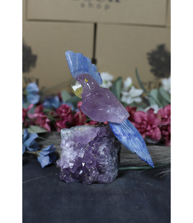 Gemstone Parrot #156, 490gr