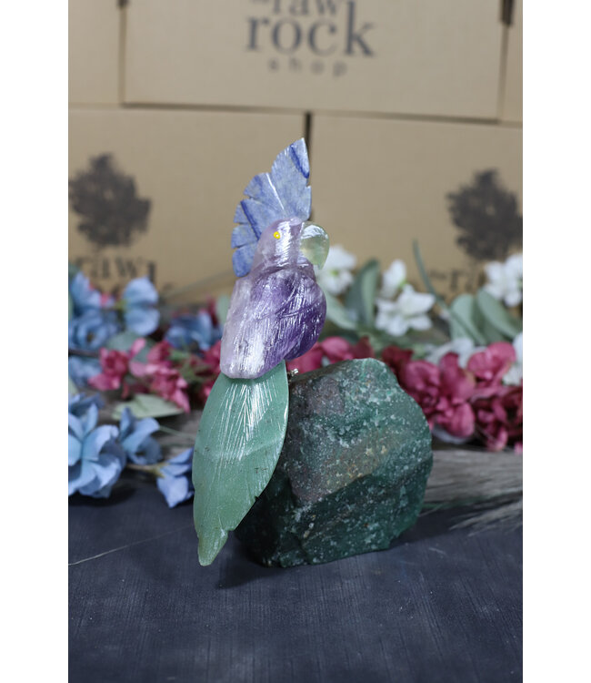 Gemstone Parrot #158, 728gr