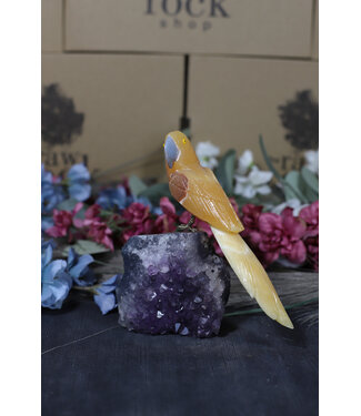 Gemstone Parrot #157, 466gr